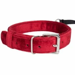 Cheap ⌛ Bondara Red Velvet Collar With Leash 🔥 -Bondage props Sale unnamed file 366