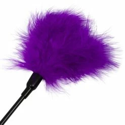 Wholesale ❤️ Bondara Feather Tickle And Tease - 17 Inch 😉 -Bondage props Sale unnamed file 501